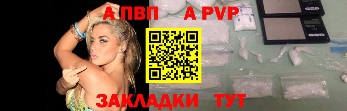 Альфа ПВП СК КРИС Назрань