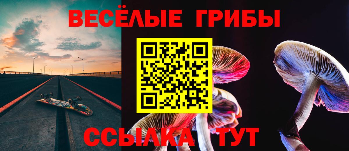 Назрань  купить  цена  Галлюциногенные грибы MAGIC MUSHROOMS  Вход с VPN  Псилоцибиновые грибы мухоморы 